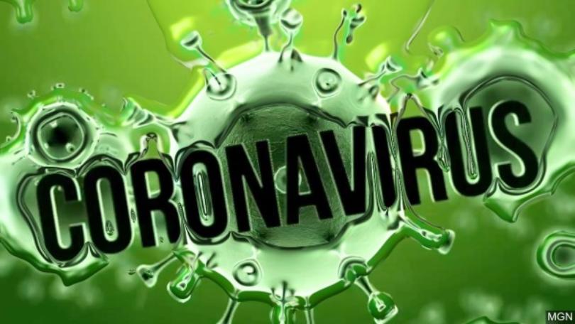 Corona virus